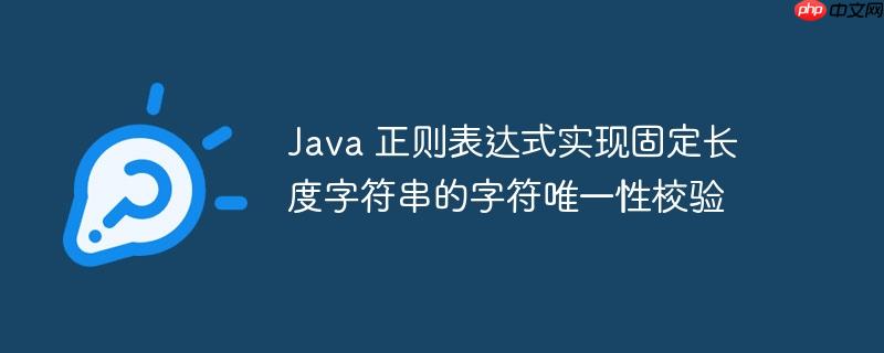 Java 正则表达式实现固定长度字符串的字符唯一性校验