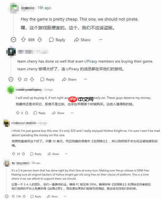 盗版玩家呼吁购买《空洞骑士：丝之歌》：它真的值这个价！
