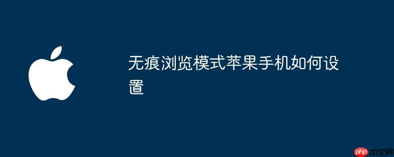 无痕浏览模式苹果手机如何设置
