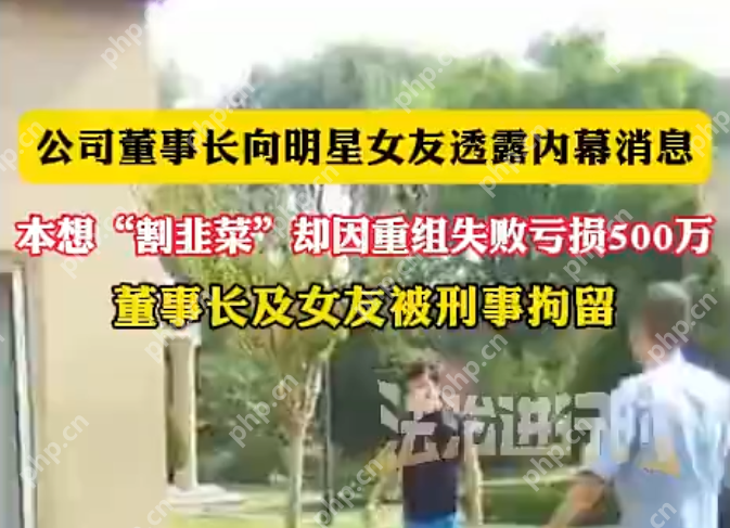为爱泄密？董事长与明星女友内幕交易亏损百万，双双被拘