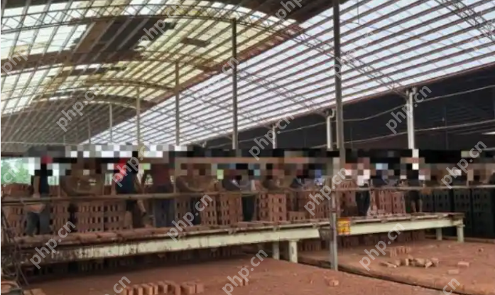 湖南永州“黑砖窑”事件曝光：6名残障工人疑被控制多年 - 创想鸟