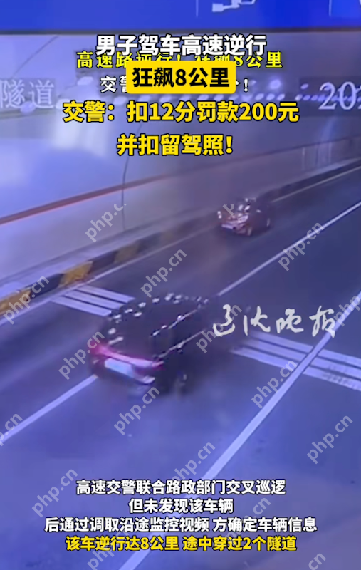 男子高速“逆行狂飙”8公里：教科书式危险驾驶，处罚结果引热议