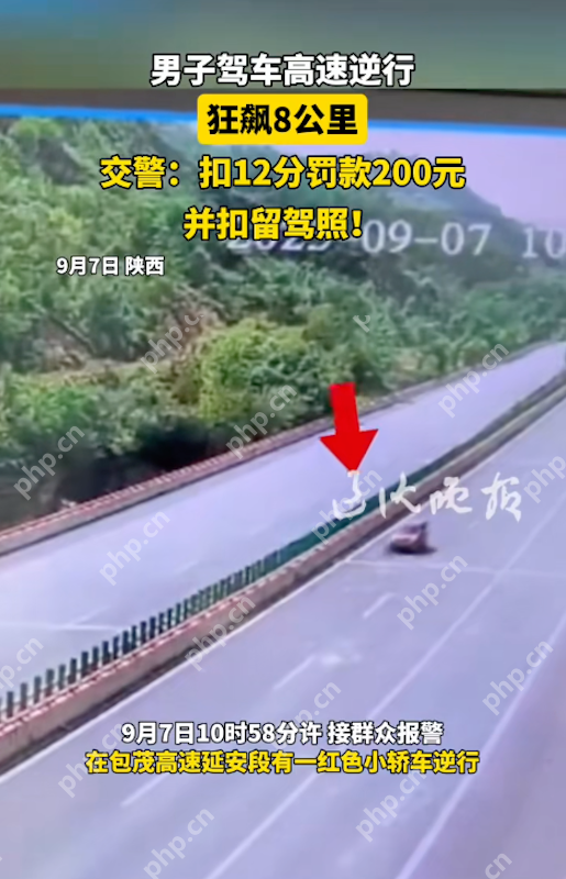 男子高速“逆行狂飙”8公里：教科书式危险驾驶，处罚结果引热议 - 创想鸟