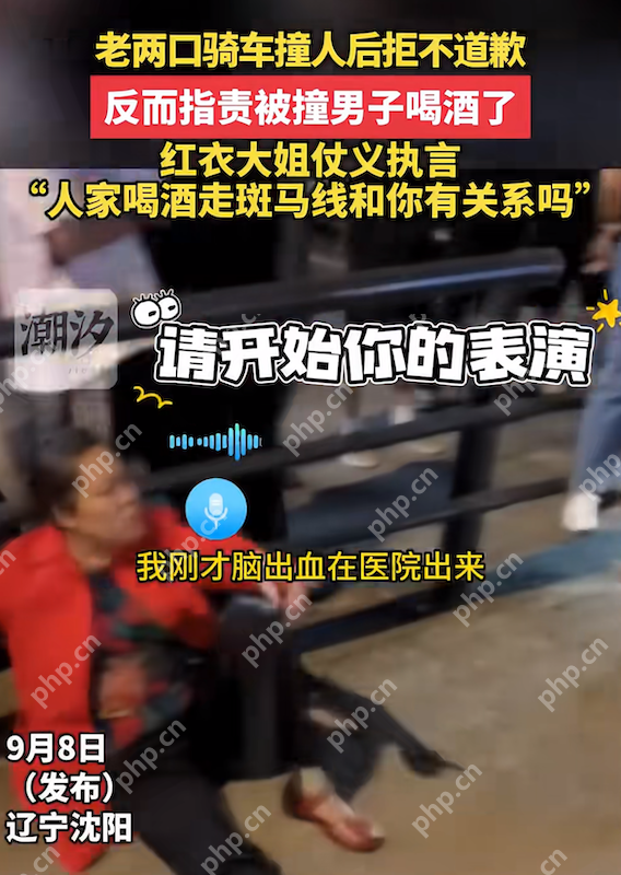 沈阳街头碰撞：老两口撞人后拒不道歉反指责被撞男子喝酒了