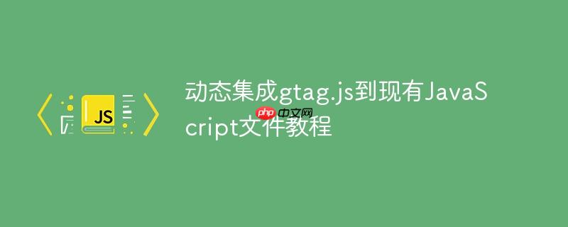 动态集成gtag.js到现有JavaScript文件教程