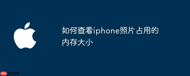如何查看iphone照片占用的内存大小