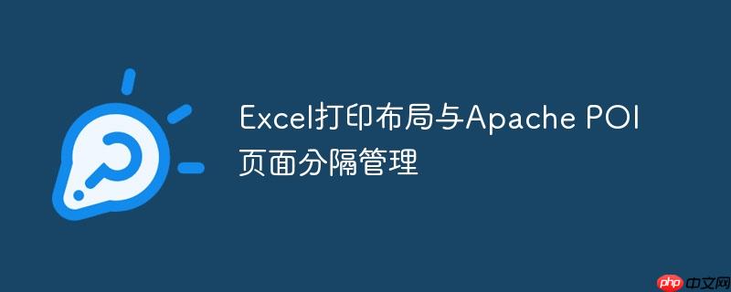 Excel打印布局与Apache POI页面分隔管理
