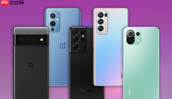 oppo手机蓝屏后如何检查内存？内存管理方法