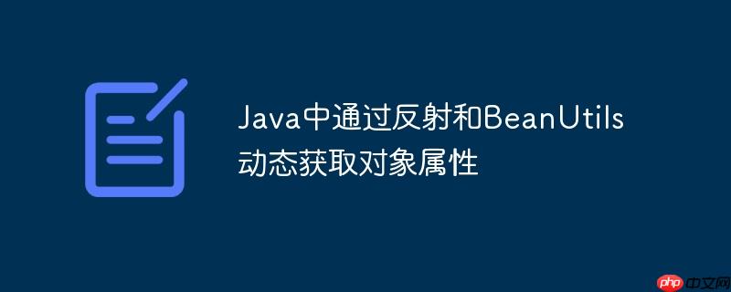 Java中通过反射和BeanUtils动态获取对象属性