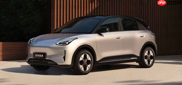 8月中国新能源车型销量排名出炉 Model Y暂列第二