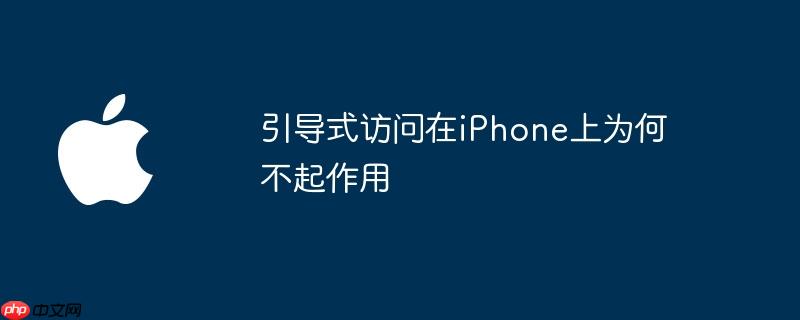 引导式访问在iphone上为何不起作用