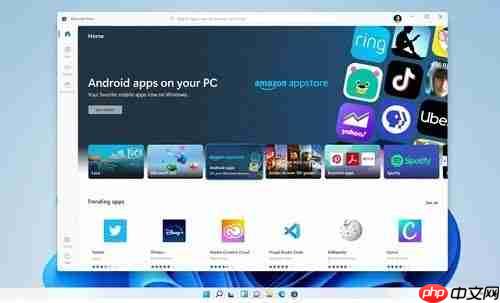 Win11无法安装软件怎么办？Win11无法安装软件解决办法