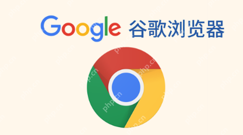 谷歌浏览器下载完成的文件打不开如何解决 - 创想鸟