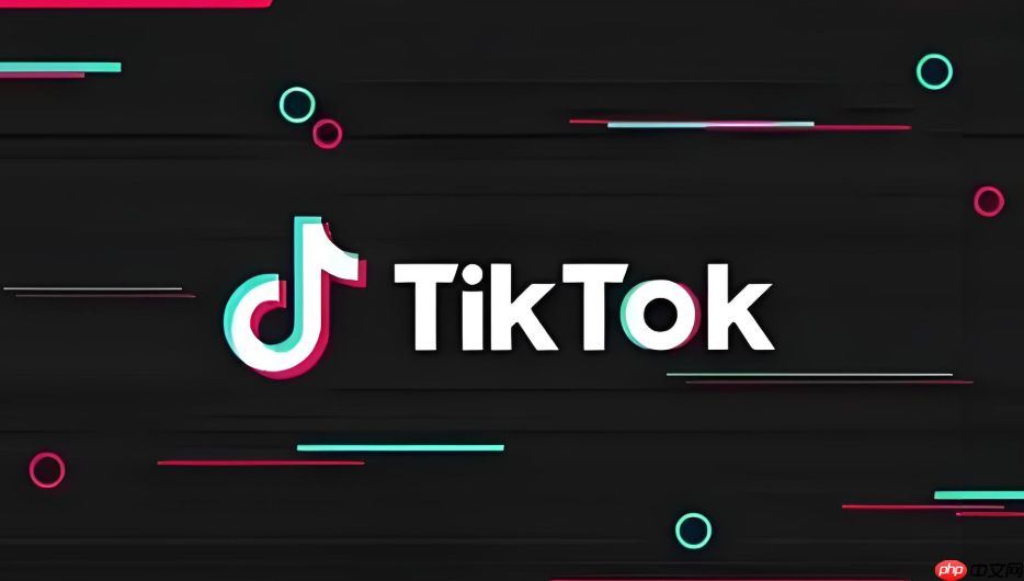 TikTok国际版官方登录平台 TikTok国际版快速入口通道