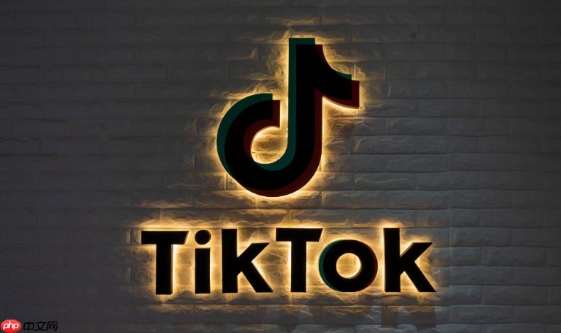 TikTok国际版官方入口通道 TikTok国际版在线快速登录