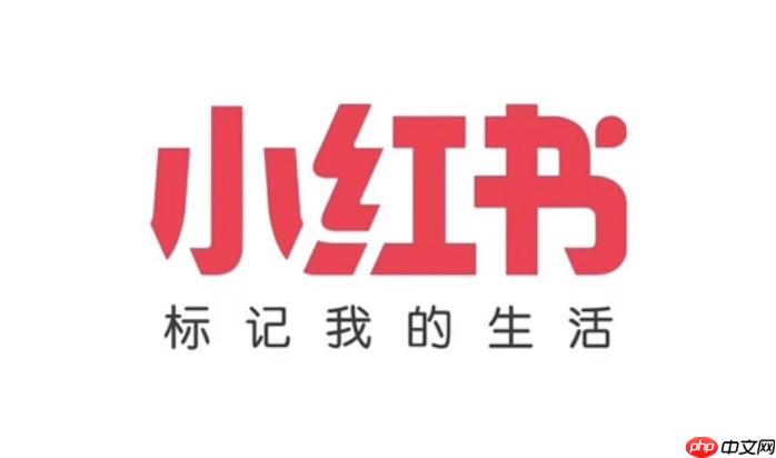小红书网页版怎么参与活动_小红书网页版官方活动参与指南