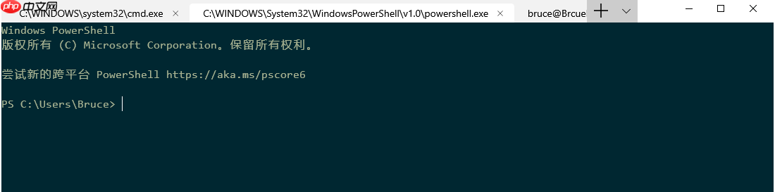 黑科技抢先尝 - Windows全新终端初体验(附代码Build全过程)
