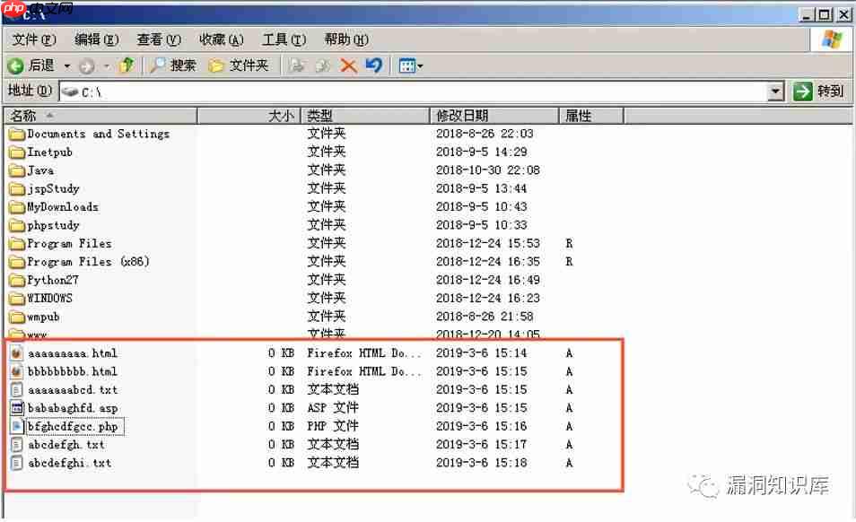 IIS - 短文件名猜解漏洞