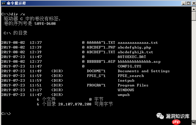 IIS - 短文件名猜解漏洞