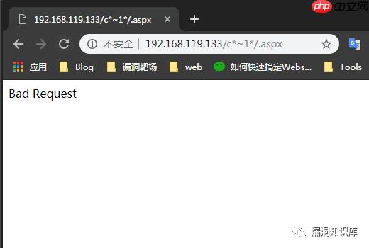 IIS - 短文件名猜解漏洞