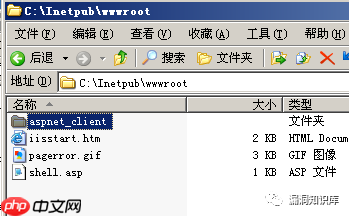 IIS - 短文件名猜解漏洞