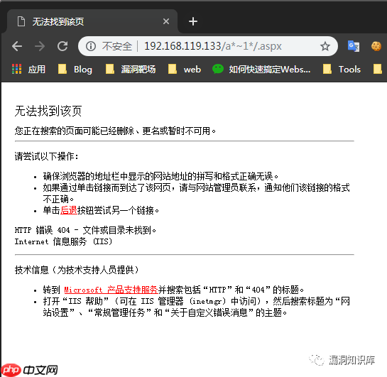 IIS - 短文件名猜解漏洞