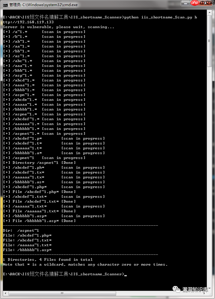 IIS - 短文件名猜解漏洞