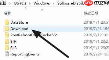 Win11语言包路径位置在哪？Win11语言包路径位置详细介绍