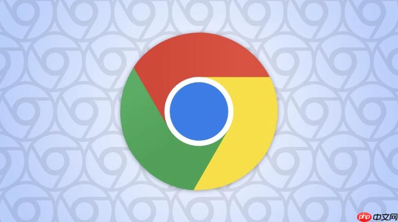 Chrome浏览器怎么清除DNS缓存_刷新本地DNS缓存的操作方法