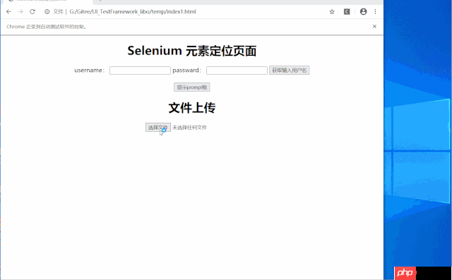 Selenium之文件上传、下载