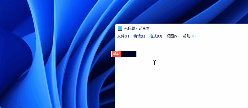 Win11的快捷键有哪些？Win11快捷键大全