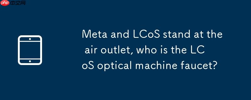 Meta 携 LCoS 站上风口，谁是 LCoS 光机龙头？