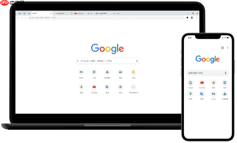 谷歌浏览器输入网址总跳转到搜索引擎怎么办