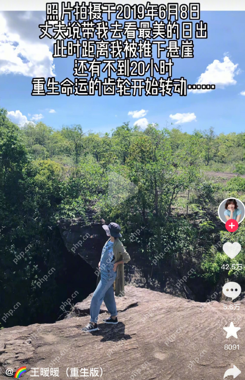 王暖暖国内离婚要等到70岁 网友:没结婚的你瑟瑟发抖没 - 创想鸟