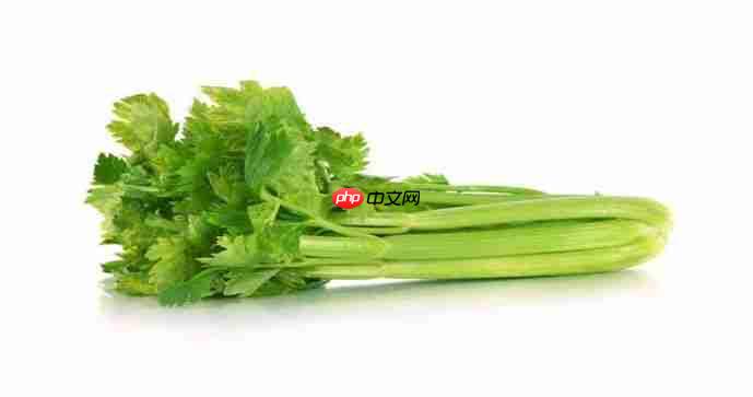 Celery+Rabbitmq实现异步执行任务