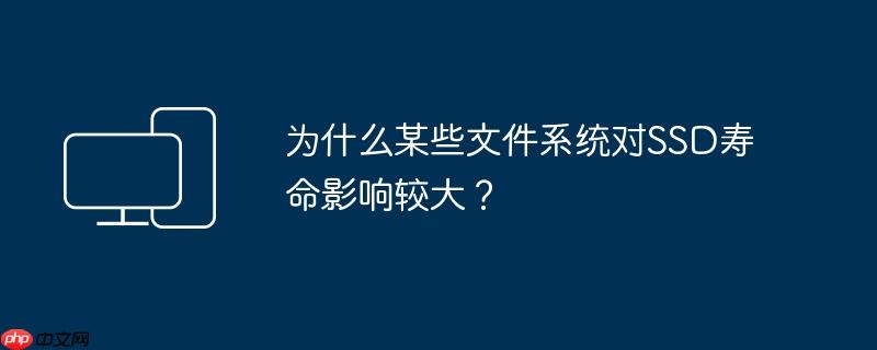 为什么某些文件系统对SSD寿命影响较大？