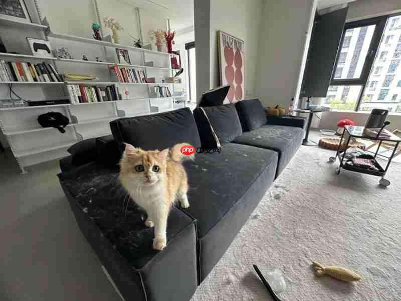 养宠家庭必看：除螨仪到底要不要买？多久用一次？友望大白Ultra给答案