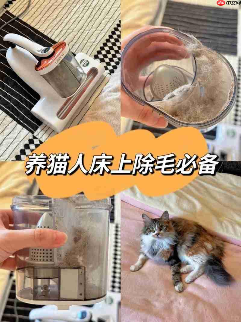 养宠家庭必看：除螨仪到底要不要买？多久用一次？友望大白Ultra给答案