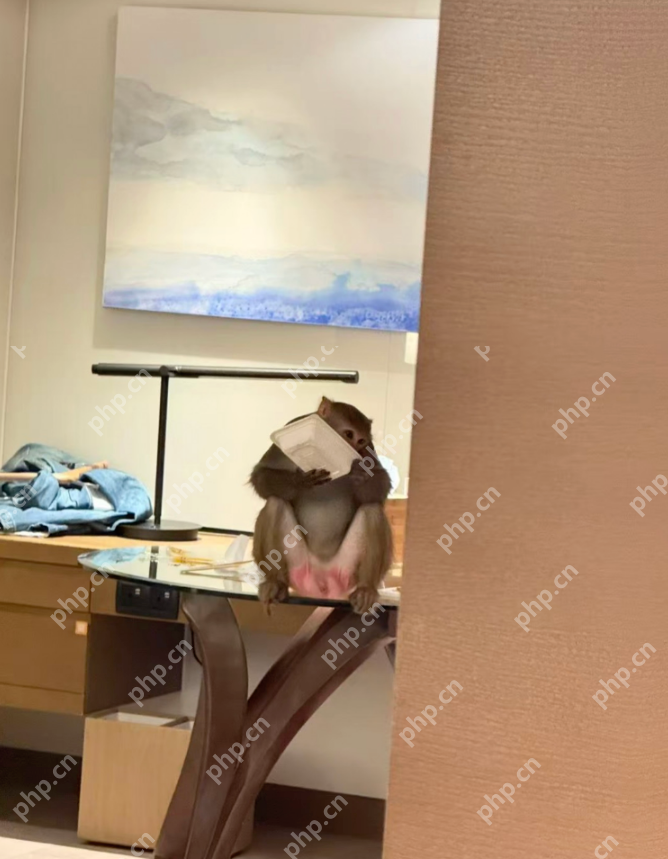 三亚一五星级酒店遭猕猴“洗劫”，住客：海景房秒变“猴景房” - 创想鸟