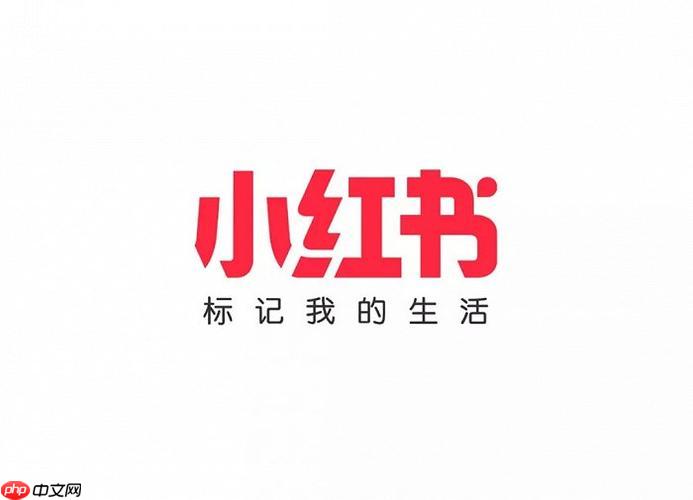 小红书商家登录官网_千帆PC端后台管理入口