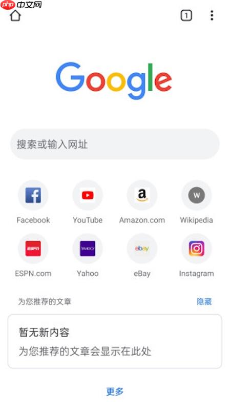 谷歌浏览器搜索框无法输入中文怎么办
