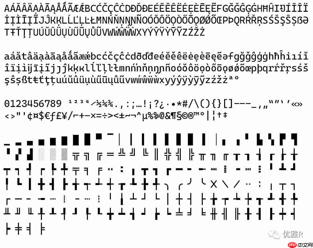 「R」使用 Cascadia Code 字体