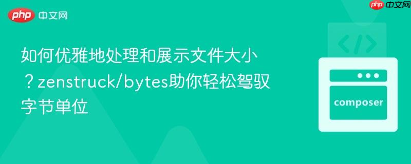 如何优雅地处理和展示文件大小？zenstruck/bytes助你轻松驾驭字节单位