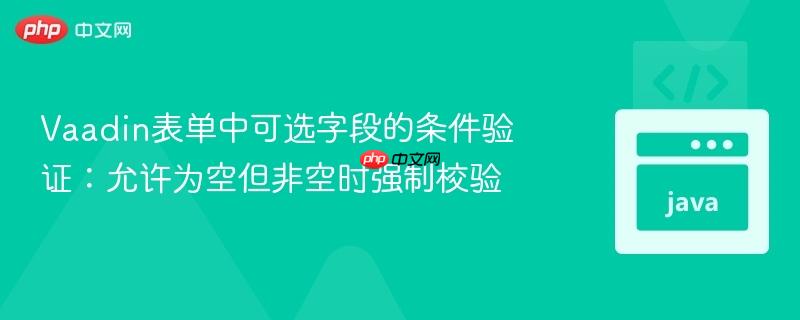 Vaadin表单中可选字段的条件验证：允许为空但非空时强制校验