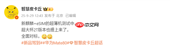 对标苹果iPhone Air！华为测试eSIM超薄手机：搭载全新麒麟芯片