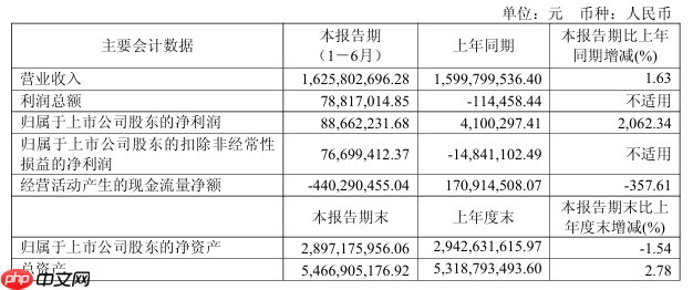 极米科技向港交所提交上市申请书，上半年净利润暴增 2062%