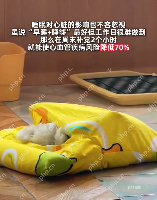周末补觉2小时心血管患病率直降7成，双节你准备在家补觉吗？ - 创想鸟