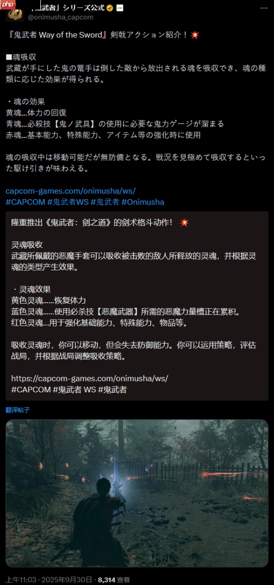 《鬼武者：剑之道》机制介绍：杀敌吸魂回复！