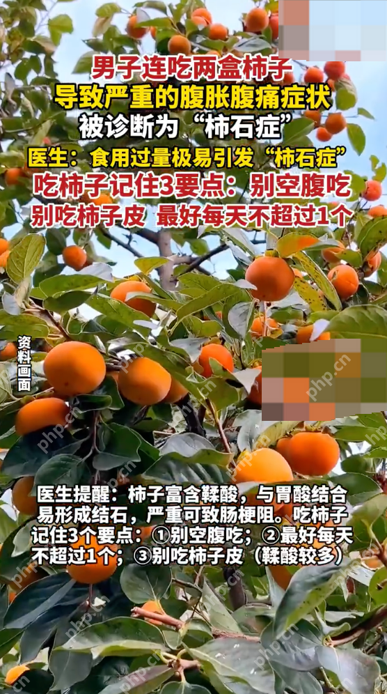男子吃柿子致腹痛确诊柿石症是怎么回事？详情介绍 - 创想鸟